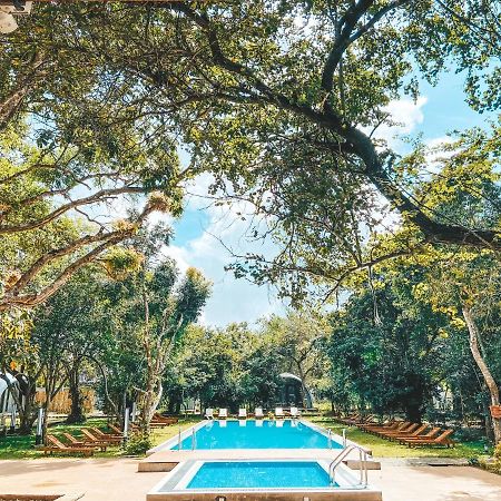 Nivadoo Resort Сігірія Екстер'єр фото The swimming pool at the hotel